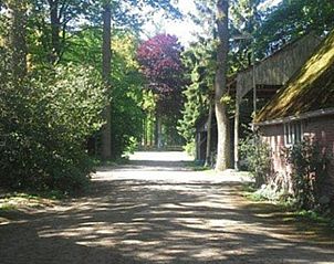 Guest house 523819 - Holiday property Twente - Huisje in Losser