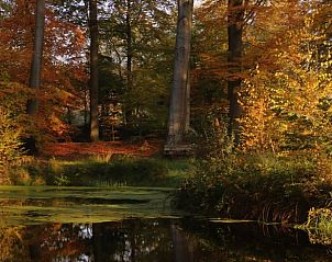 Guest house 523819 - Holiday property Twente - Huisje in Losser