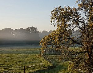 Guest house 523821 - Holiday property Twente - Huisje in Losser