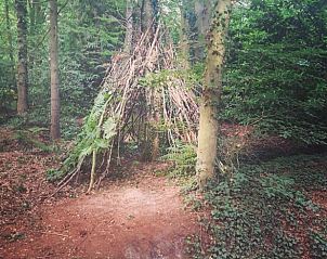 Guest house 523821 - Holiday property Twente - Huisje in Losser