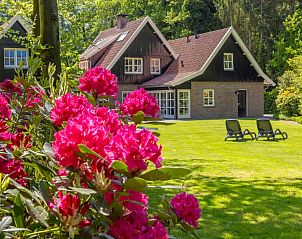 Verblijf 523835 - Vakantiewoning Twente - Het Landhuis met hottub en kota!