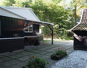 Gezellig terras bij Huisje in Tubbergen, vakantieaccommodatie in Twente, omringd door bosrijke omgeving.