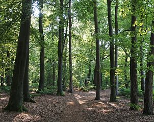 Verblijf 523904 - Vakantiewoning Twente - Huisje in Tubbergen
