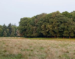 Verblijf 523904 - Vakantiewoning Twente - Huisje in Tubbergen