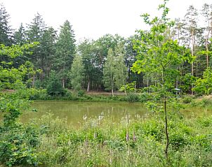 Unterkunft 524104 - Ferienhaus Twente - Huisje in Deurningen