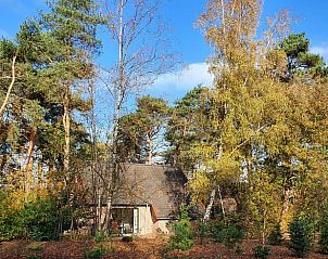 Unterkunft 524104 - Ferienhaus Twente - Huisje in Deurningen