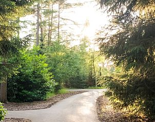 Unterkunft 524105 - Ferienhaus Twente - Huisje in Deurningen