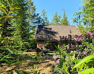 Unterkunft 524106 - Ferienhaus Twente - Huisje in Deurningen