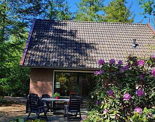 Unterkunft 524107 - Ferienhaus Twente - Huisje in Deurningen