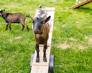 Unterkunft 524107 - Ferienhaus Twente - Huisje in Deurningen