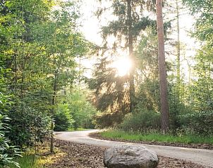 Unterkunft 524108 - Ferienhaus Twente - Vakantiehuisje in Deurningen