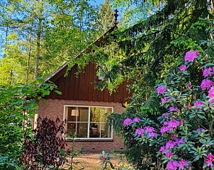Verblijf 524109 • Vakantiewoning Twente • Vakantiehuis in Deurningen 