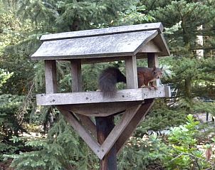 Unterkunft 524109 - Ferienhaus Twente - Vakantiehuis in Deurningen