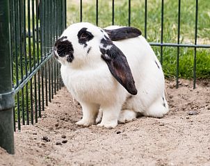 Unterkunft 524109 - Ferienhaus Twente - Vakantiehuis in Deurningen