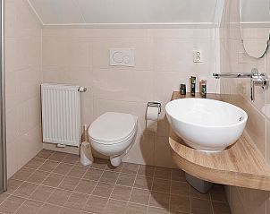 Gastenbadkamer in Boshuus Comfort Plus vakantiehuis in Deurningen, Twente, met strak en modern design.