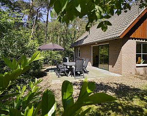 Unterkunft 524121 - Ferienhaus Twente - Boshuus XL Wellness