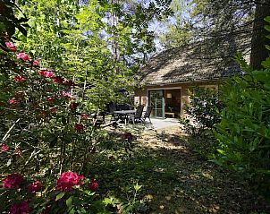 Bosrijke omgeving van Boshuus Zorg vakantiehuis, Deurningen, met terras en tuin.