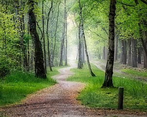 Unterkunft 524212 - Chalet Twente - Chalet in Hoge Hexel