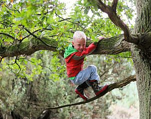 Guest house 524213 - Chalet Twente - Recreatiepark Tolplas 1