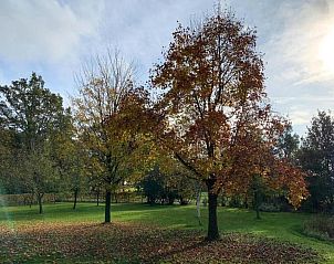 Guest house 524213 - Chalet Twente - Recreatiepark Tolplas 1