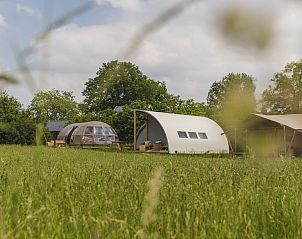Guest house 524634 • Tent house Twente • Groepsaccommodatie (6x luxe glampingtent) I 28 personen 