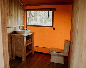 Verblijf 524686 - Tenthuis Twente - 6x luxe glampingtent
