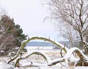 Guest house 524901 - Holiday property Twente - Vakantiehuis in Manderveen