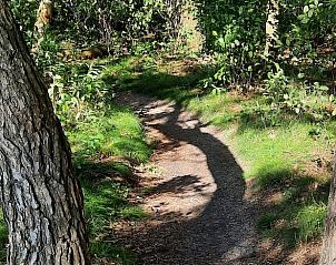 Guest house 524901 - Holiday property Twente - Vakantiehuis in Manderveen