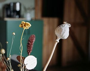 Guest house 525112 - Holiday property Twente - Vakantiehuisje in Buurse