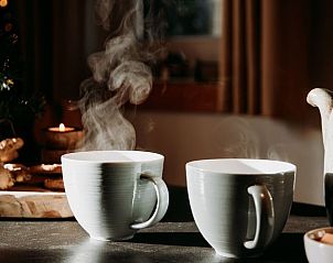 Guest house 525112 - Holiday property Twente - Vakantiehuisje in Buurse