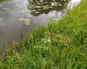 Verblijf 525303 - Vakantiewoning Twente - Lutke Disserot