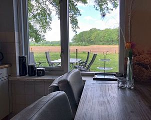 Uitzicht op de tuin vanuit de keuken van Vakantiehuisje in Lattrop, Twente, Overijssel.