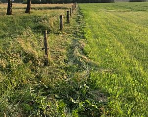 Groene velden en natuur bij Vakantiehuisje in Lattrop, ideaal voor natuurliefhebbers in Twente, Overijssel.