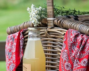 Picknickmand met sap bij Huisje in Lattrop, vakantiehuis in Twente, Overijssel.