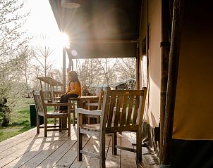 Guest house 525312 - Tent house Twente - Safaritent + sanitair