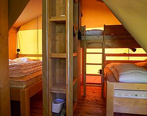 Verblijf 525314 - Tenthuis Twente - Safaritent 5 personen incl. sanitair aan het meer