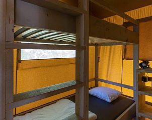 Verblijf 525315 - Tenthuis Twente - Safaritent 4 personen incl. sanitair aan het meer