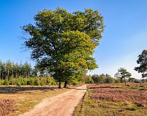 Verblijf 525901 - Vakantiewoning Twente - Vakantiehuis in Bentelo