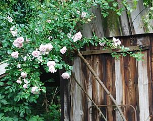 Unterkunft 526308 - Ferienhaus Twente - Vakantiehuisje in Boekelo gemeente Enschede