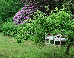 Unterkunft 526308 - Ferienhaus Twente - Vakantiehuisje in Boekelo gemeente Enschede