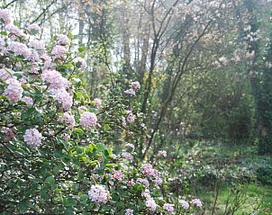 Unterkunft 526308 - Ferienhaus Twente - Vakantiehuisje in Boekelo gemeente Enschede