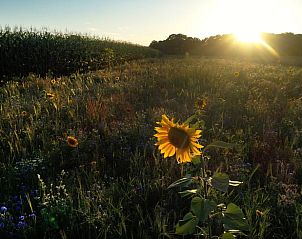 Unterkunft 526602 - Ferienhaus Twente - Vakantiehuisje in Beckum, Hengelo OV