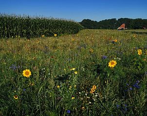 Unterkunft 526602 - Ferienhaus Twente - Vakantiehuisje in Beckum, Hengelo OV