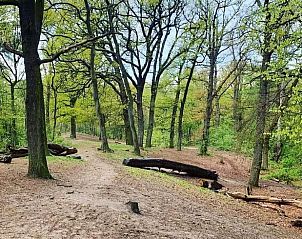 Verblijf 526703 - Vakantiewoning Twente - Huisje in Bornerbroek