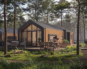 Unterkunft 526816 - Ferienhaus Twente - Boslodge met sauna | 2 pers