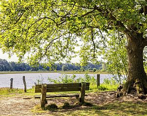 Unterkunft 526822 - Ferienhaus Twente - Boslodge met hottub & sauna | 4 pers