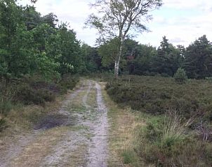 Guest house 526827 - Holiday property Twente - Vakantiehuis in Lattrop Breklenkamp