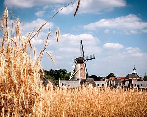 Guest house 526846 - Holiday property Twente - Boslodge | 6 pers