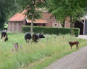 Guest house 526901 - Holiday property Twente - Vakantiehuisje in breklenkamp