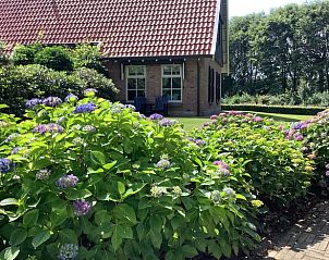 Guest house 526901 - Holiday property Twente - Vakantiehuisje in breklenkamp